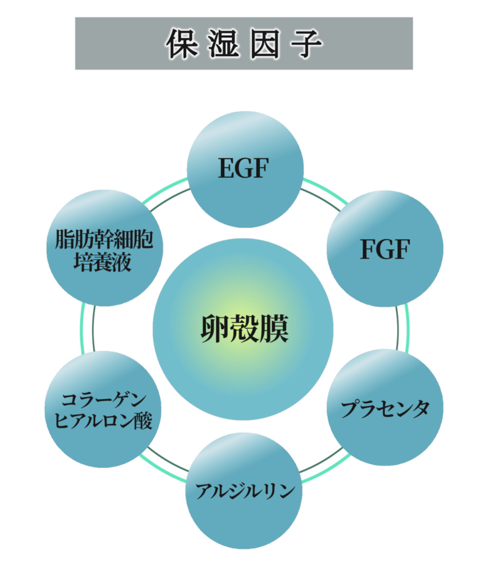 保湿因子 卵殻膜 EGF FGF プラセンタ アルジルリン コラーゲンヒアルロン酸 脂肪幹細胞培養液