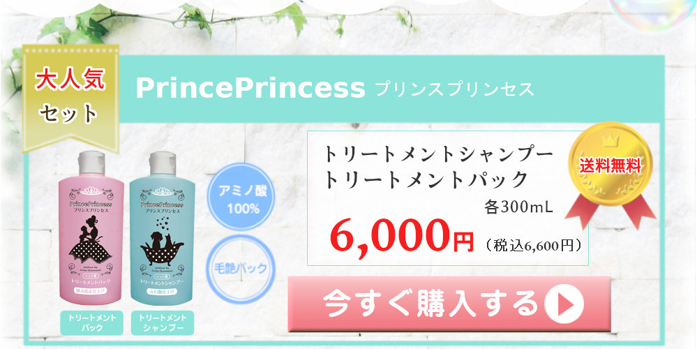 プリンスプリンセス PrincePrincess 大人気セット アミノ酸100% 毛艶パック トリートメントシャンプー トリートメントパック 各300mL 6000円（税込6600円） 送料無料