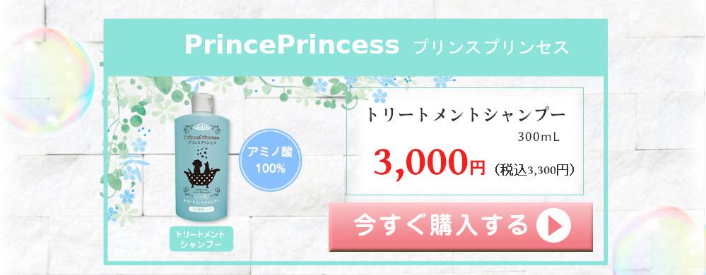 プリンスプリンセス PrincePrincess 単品購入 アミノ酸100% トリートメントシャンプー 300mL 3000円（税込3300円）