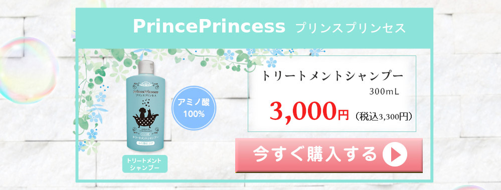 プリンスプリンセス PrincePrincess 単品購入 アミノ酸100% トリートメントシャンプー 300mL 3000円（税込3300円）