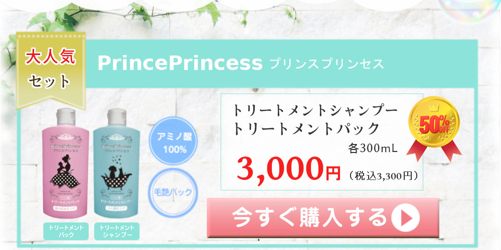 プリンスプリンセス PrincePrincess 大人気セット アミノ酸100% 毛艶パック トリートメントシャンプー トリートメントパック 各300mL 6000円（税込6600円） 送料無料
