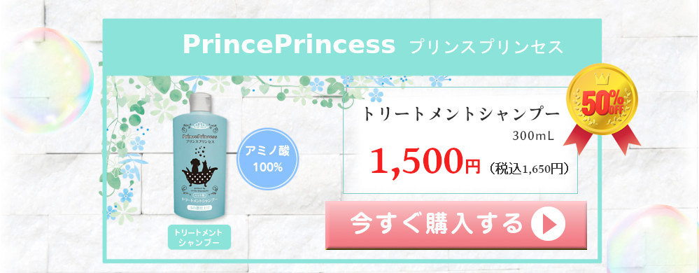 プリンスプリンセス PrincePrincess 単品購入 アミノ酸100% トリートメントシャンプー 300mL 3000円（税込3300円）