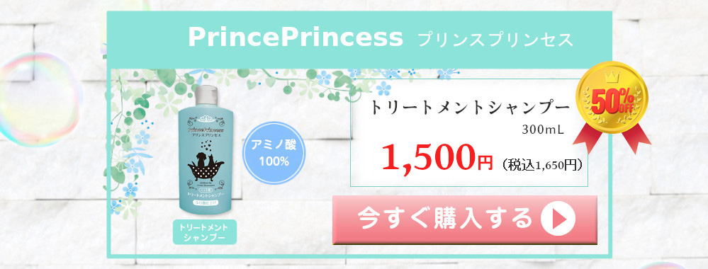 プリンスプリンセス PrincePrincess 単品購入 アミノ酸100% トリートメントシャンプー 300mL 3000円（税込3300円）