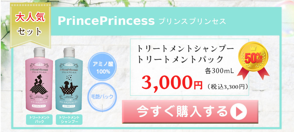 プリンスプリンセス PrincePrincess 大人気セット アミノ酸100% 毛艶パック トリートメントシャンプー トリートメントパック 各300mL 6000円（税込6600円） 送料無料